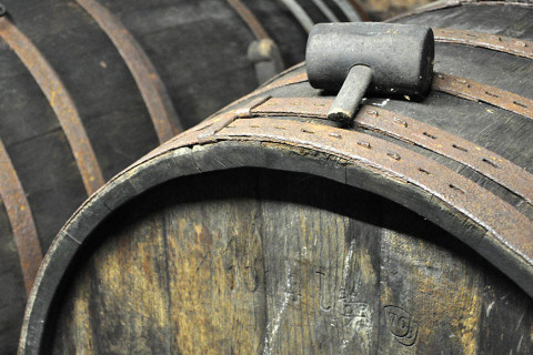 The grapes are then fermented in oak barrels.