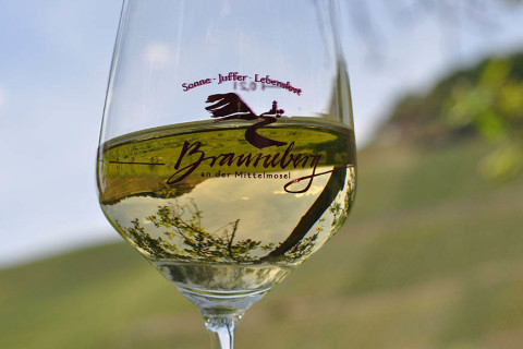 Vineyards are reflected in a glass of Riesling.
